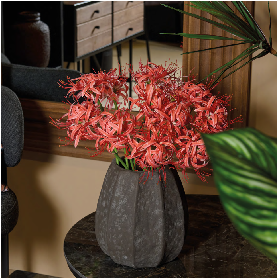 Decoración